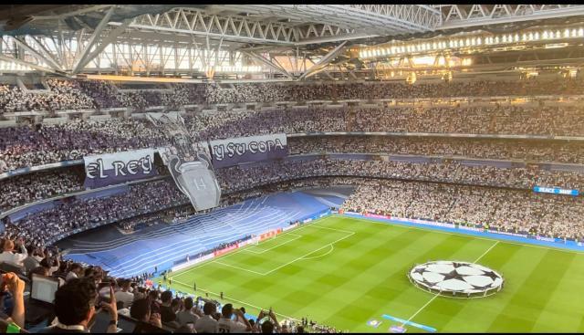 1683688923769092930.jpg 161683683657_.pic.jpg